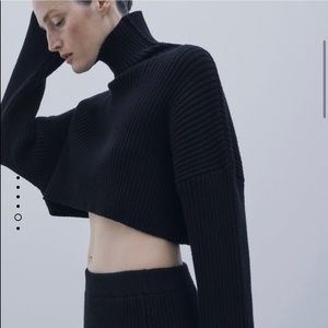 Zara cropped ribbed sweater NWT